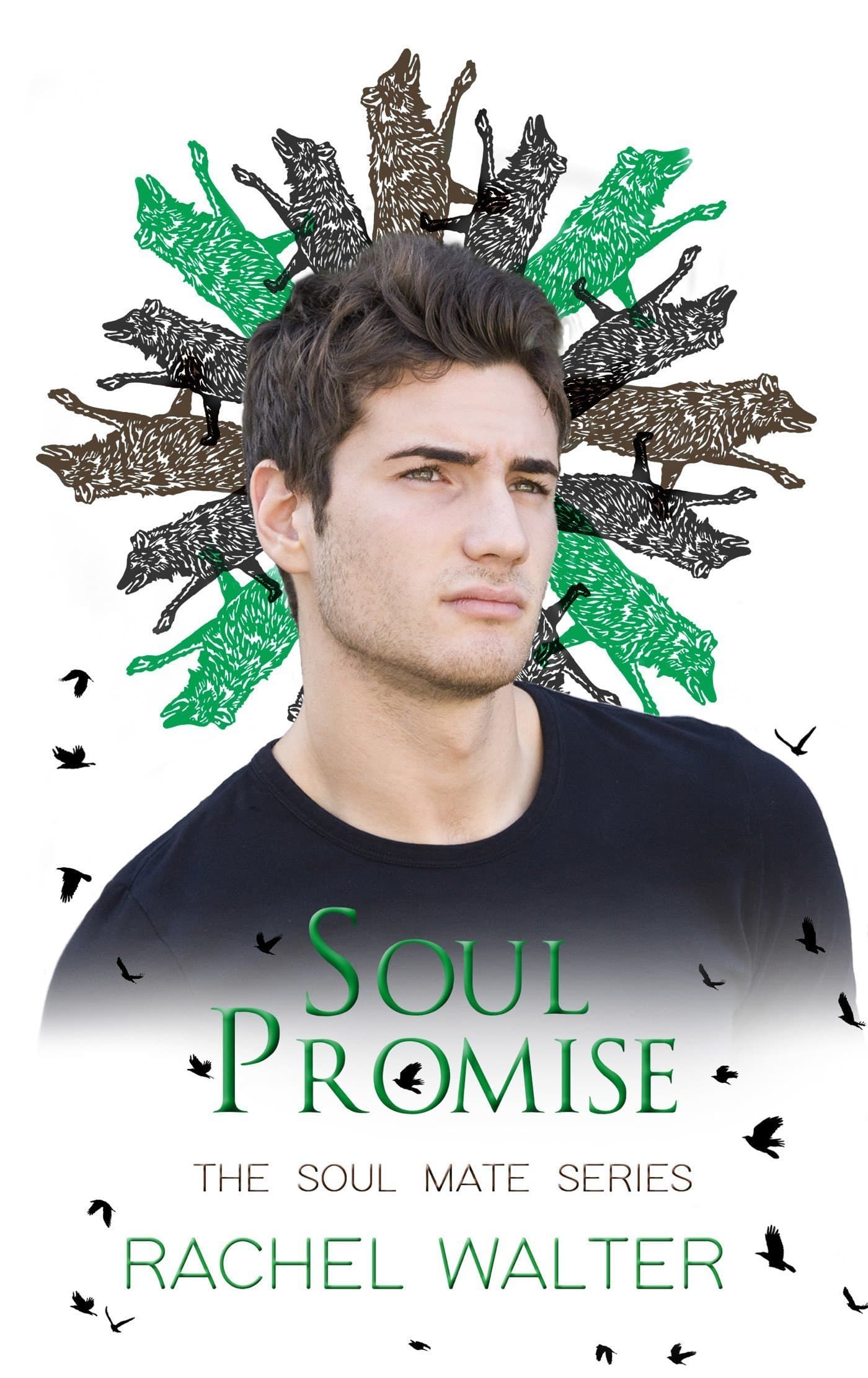 Series Book Cover Preview