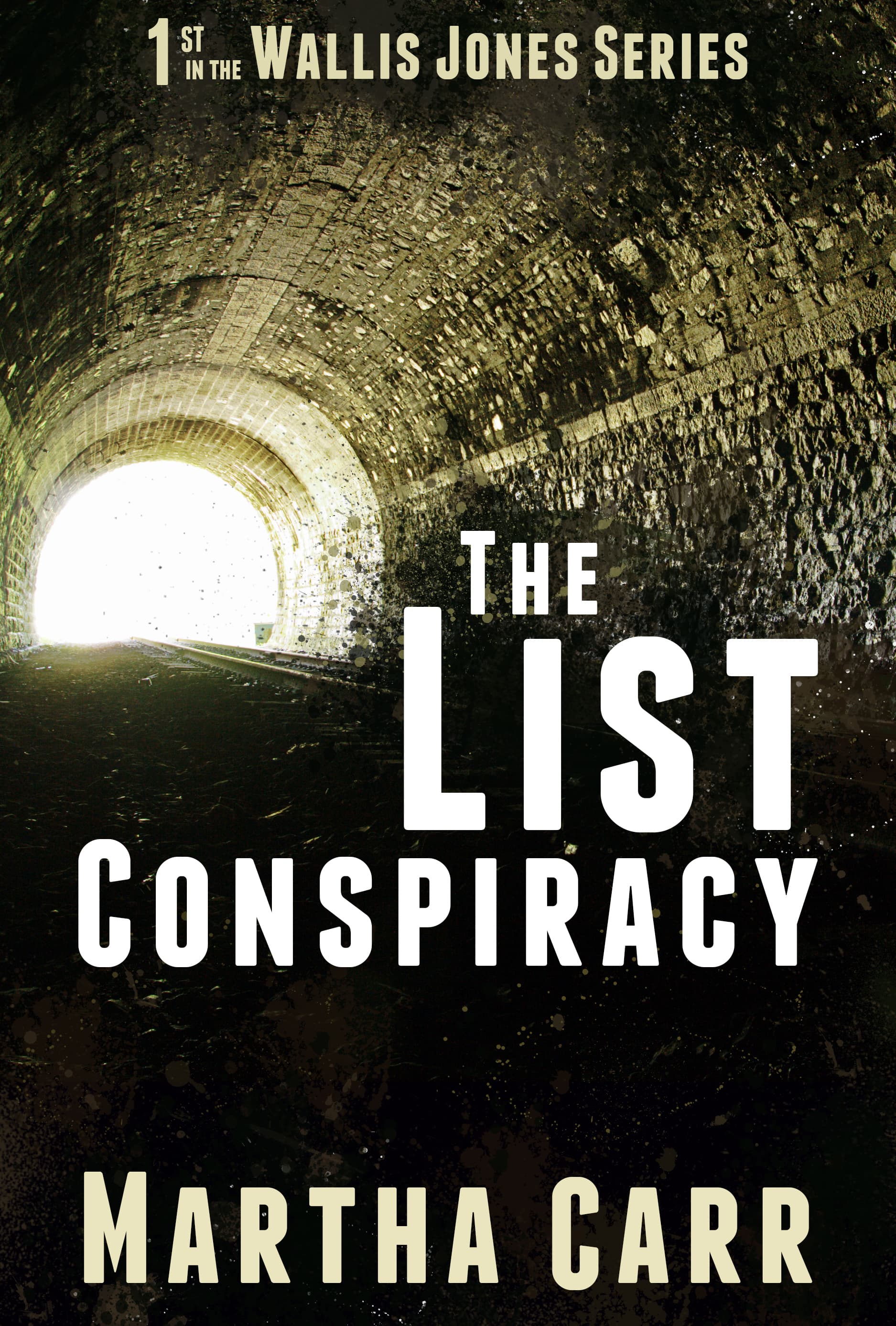 Series Book Cover Preview