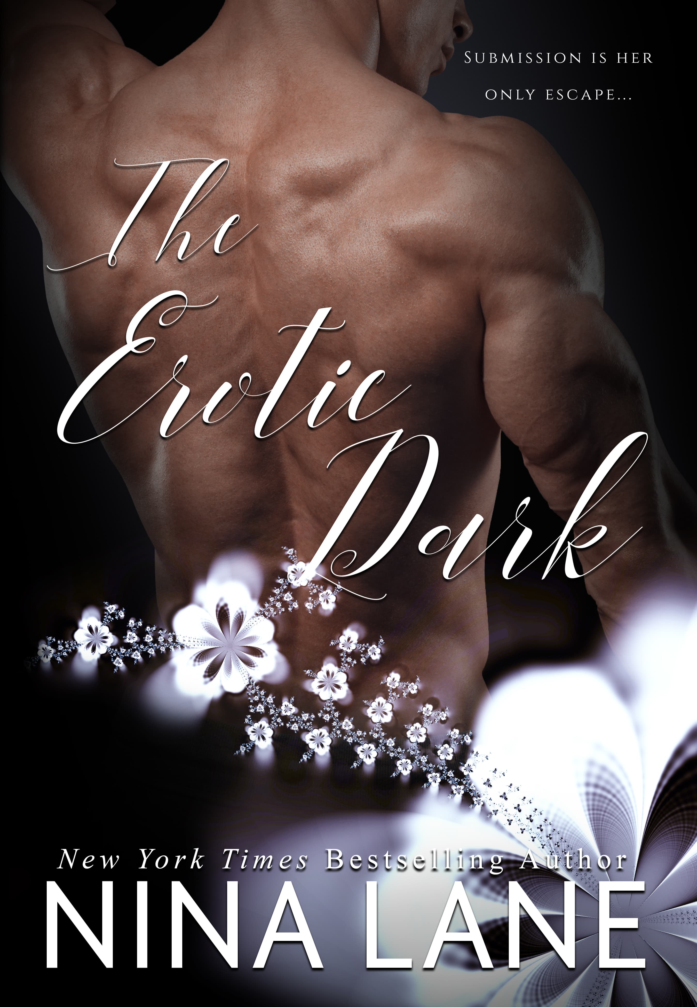 Series Book Cover Preview