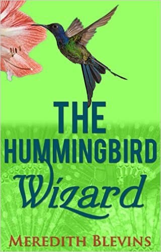 The Hummingbird Wizard