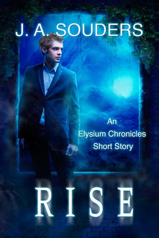 Rise book cover