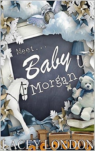 Meet Baby Morgan book cover