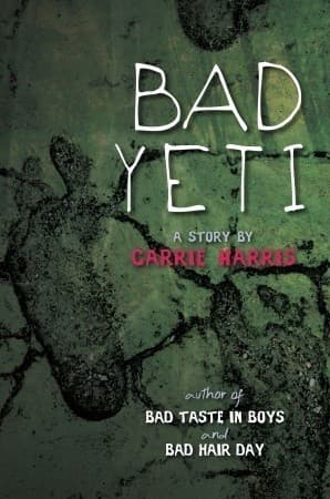 Bad Yeti book cover