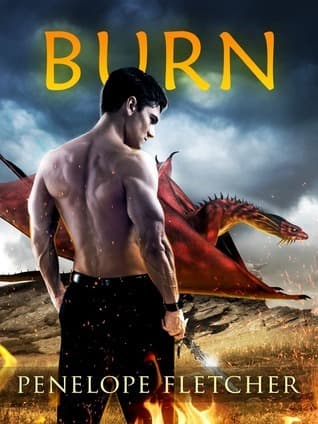 Burn book cover