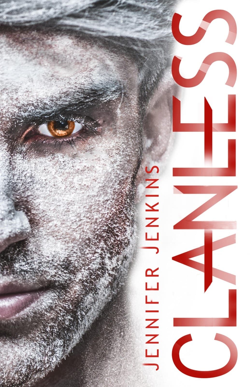 Series Book Cover Preview