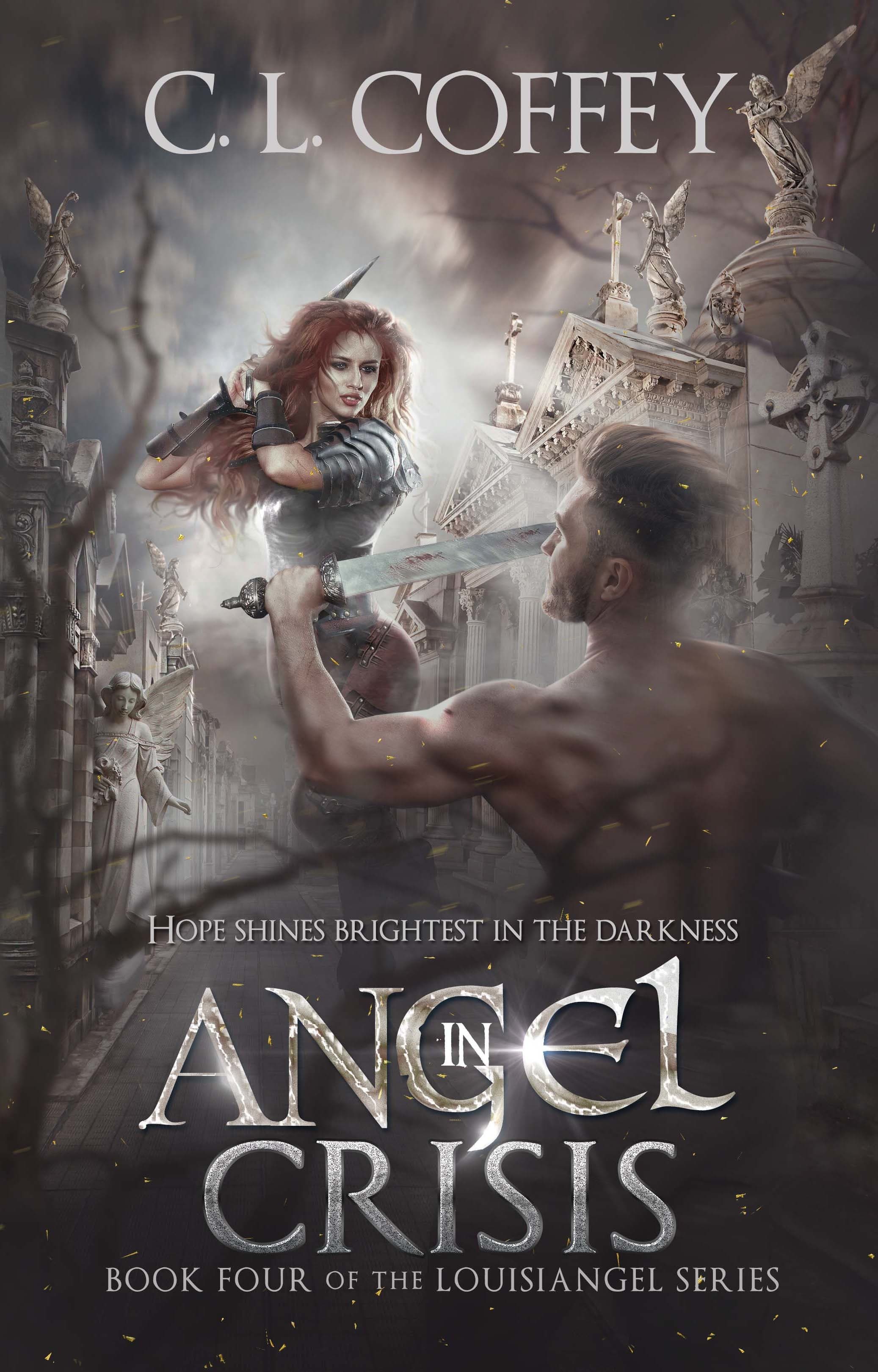 Angel in Crisis book cover