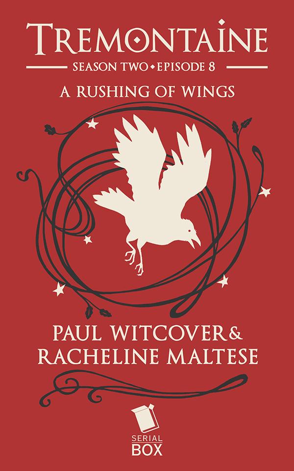 A Rushing of Wings book cover