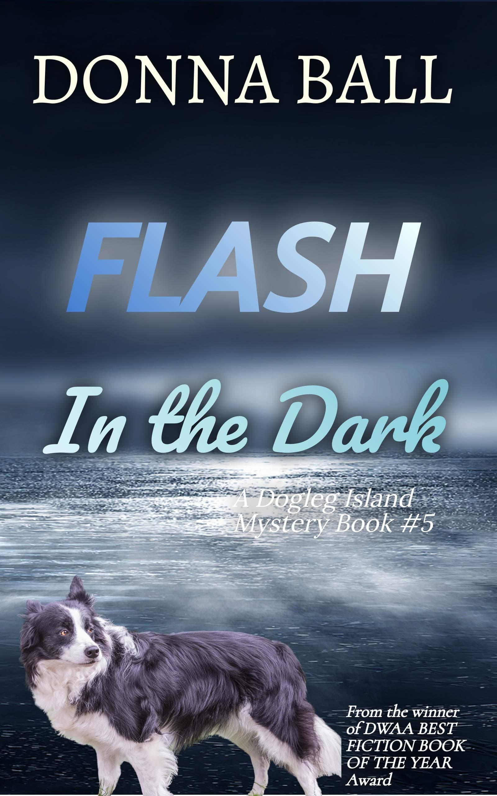 Flash in the Dark book cover