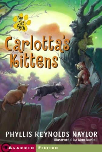 Carlotta's Kittens book cover