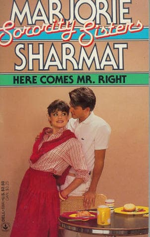 Here Comes Mr. Right book cover