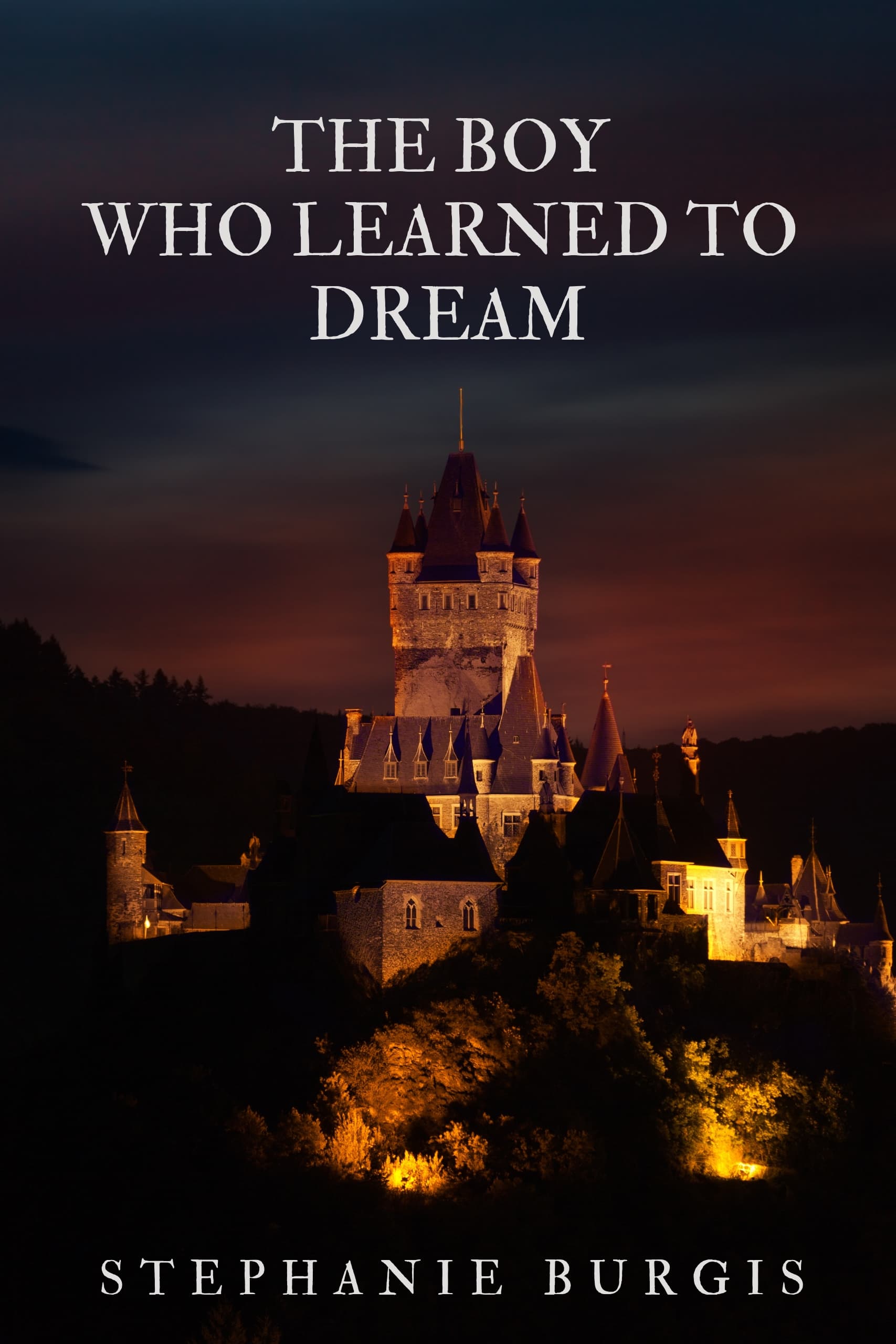 The Boy Who Learned to Dream book cover