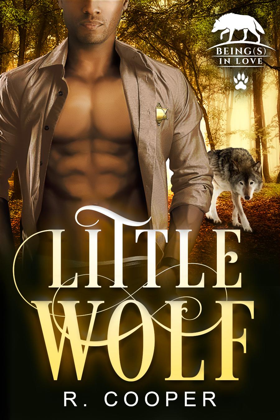 Little Wolf book cover