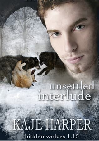 Unsettled Interlude book cover