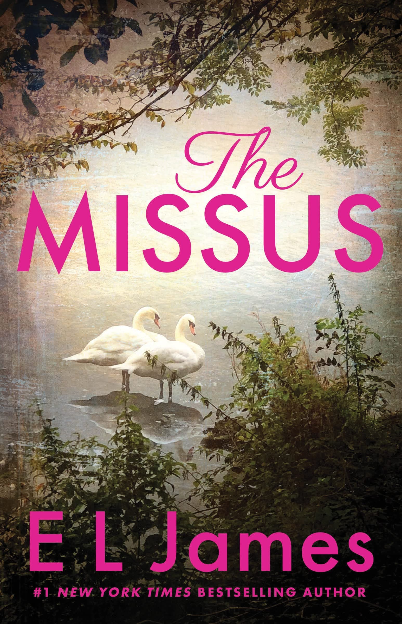 The Missus book cover