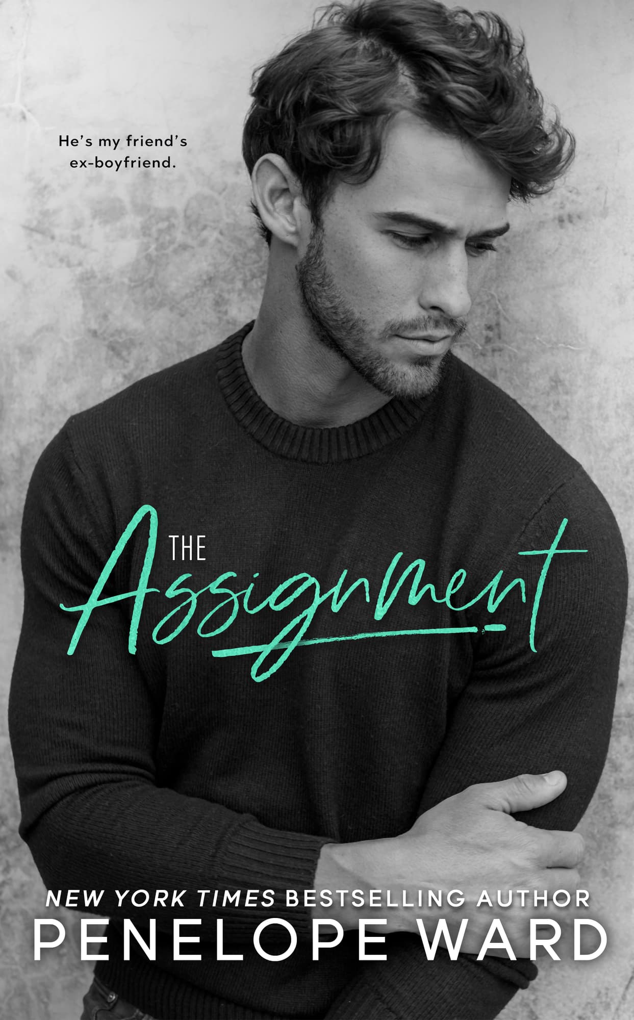 The Assignment book cover