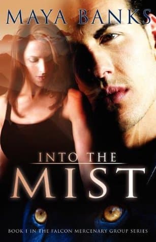 Into the Mist book cover