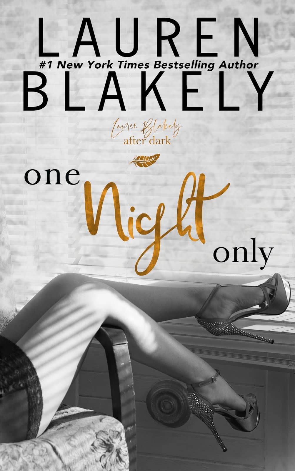 One Night Only book cover
