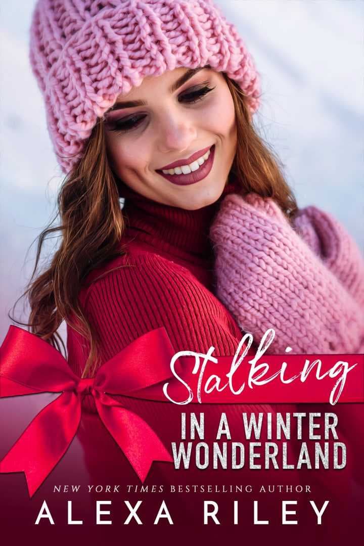 Stalking in a Winter Wonderland book cover