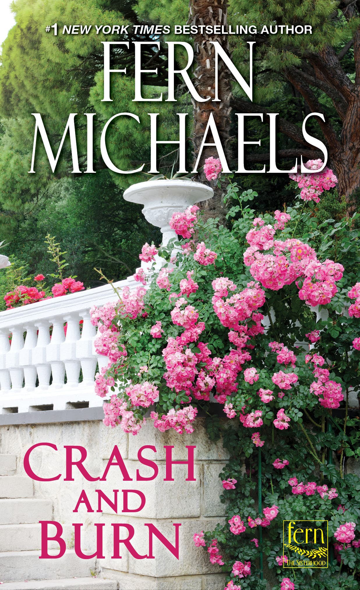 Crash and Burn book cover