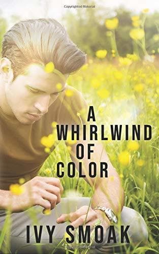 A Whirlwind of Color book cover