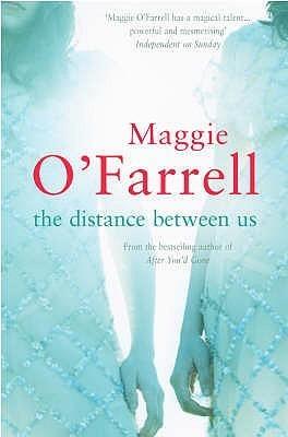 The Distance Between Us book cover