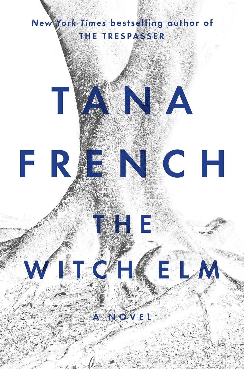 The Witch Elm book cover