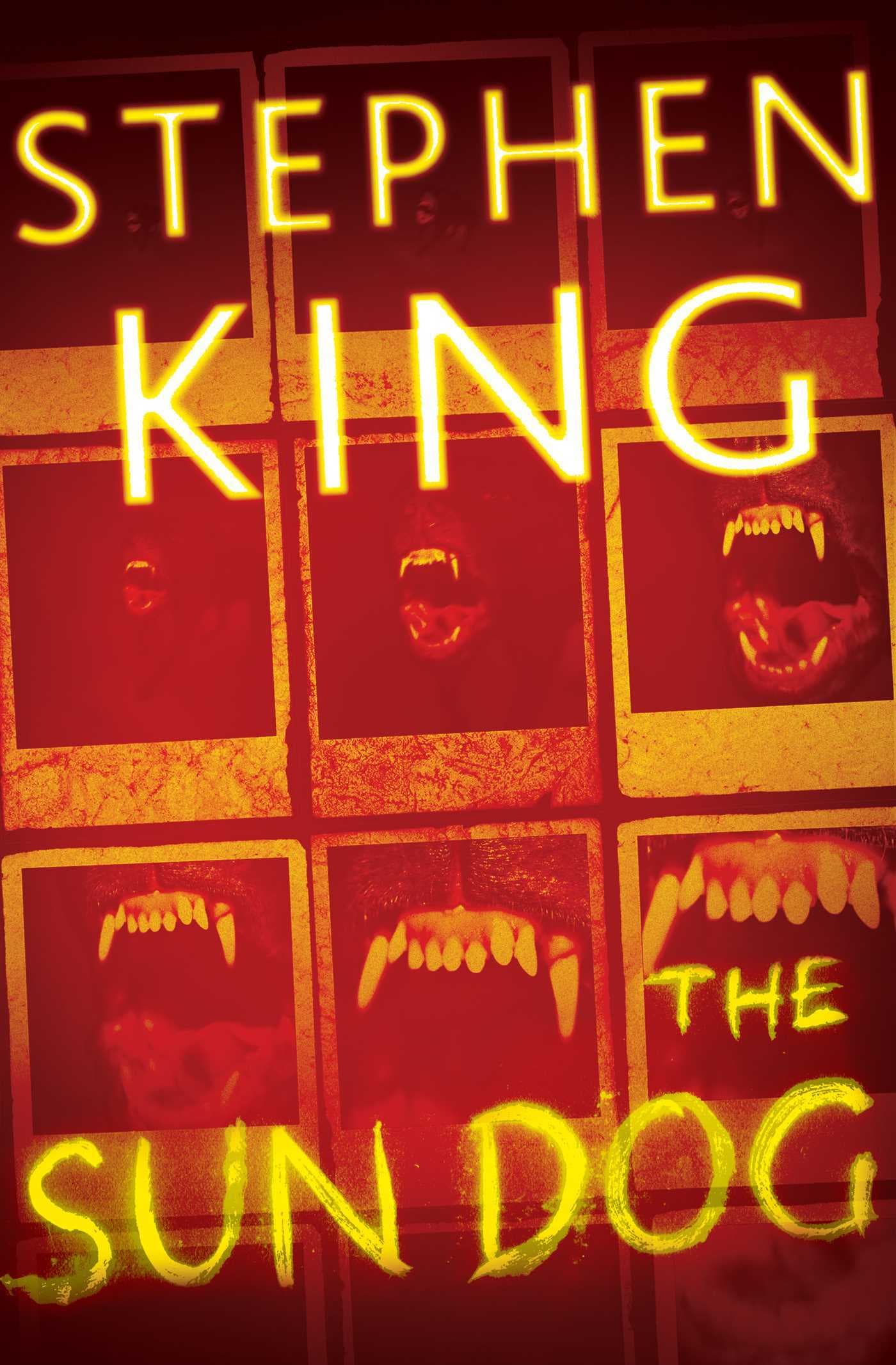 The Sun Dog book cover