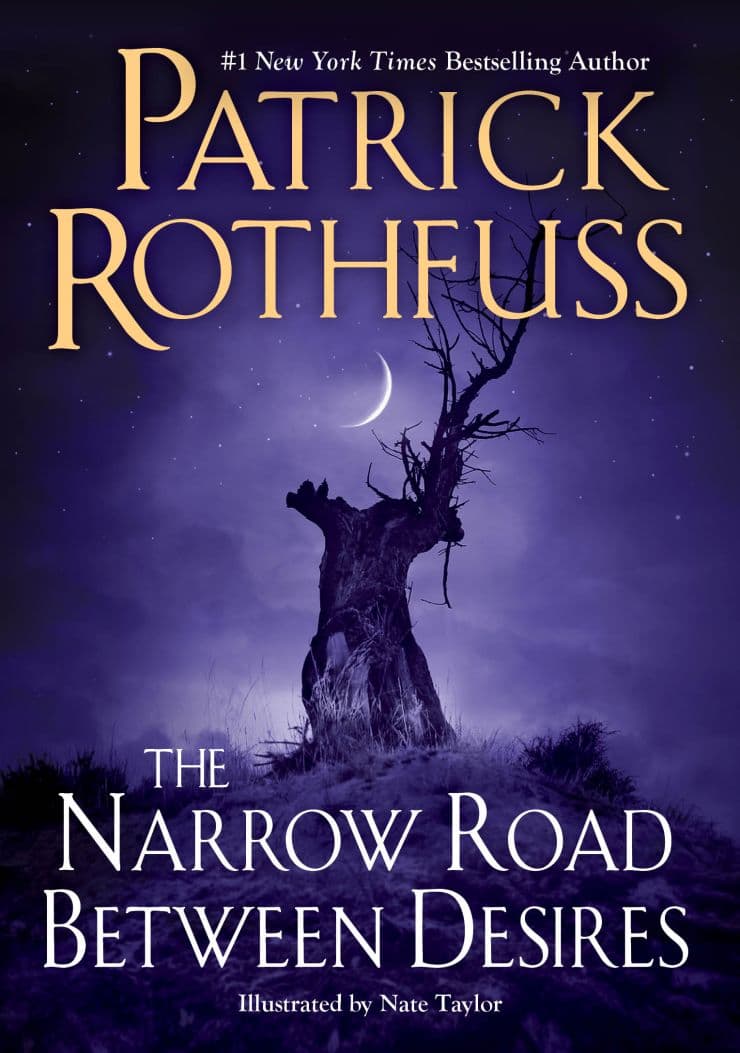 The Narrow Road Between Desires book cover