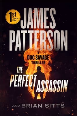 The Perfect Assassin book cover