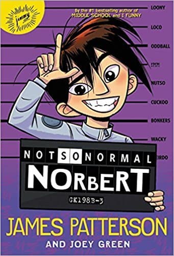 Not So Normal Norbert book cover
