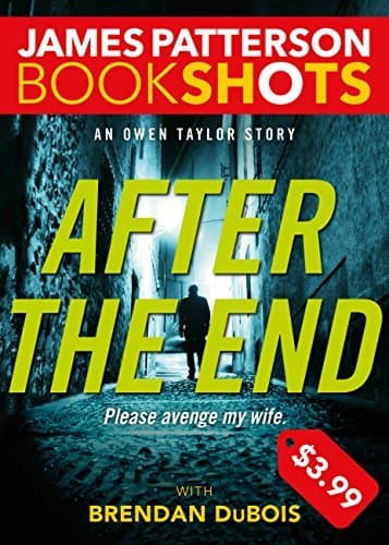 After the End book cover