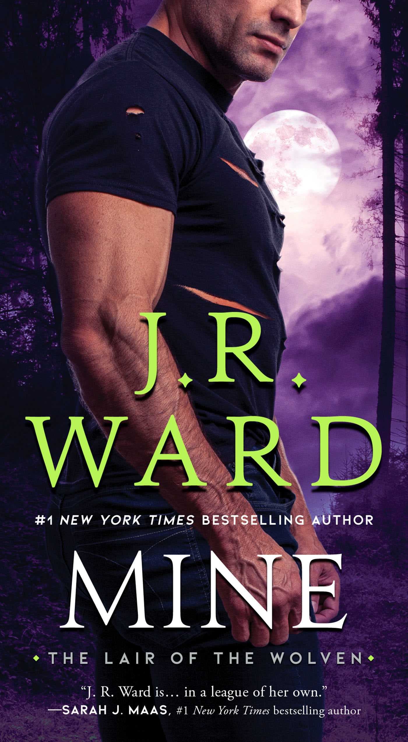 Mine book cover
