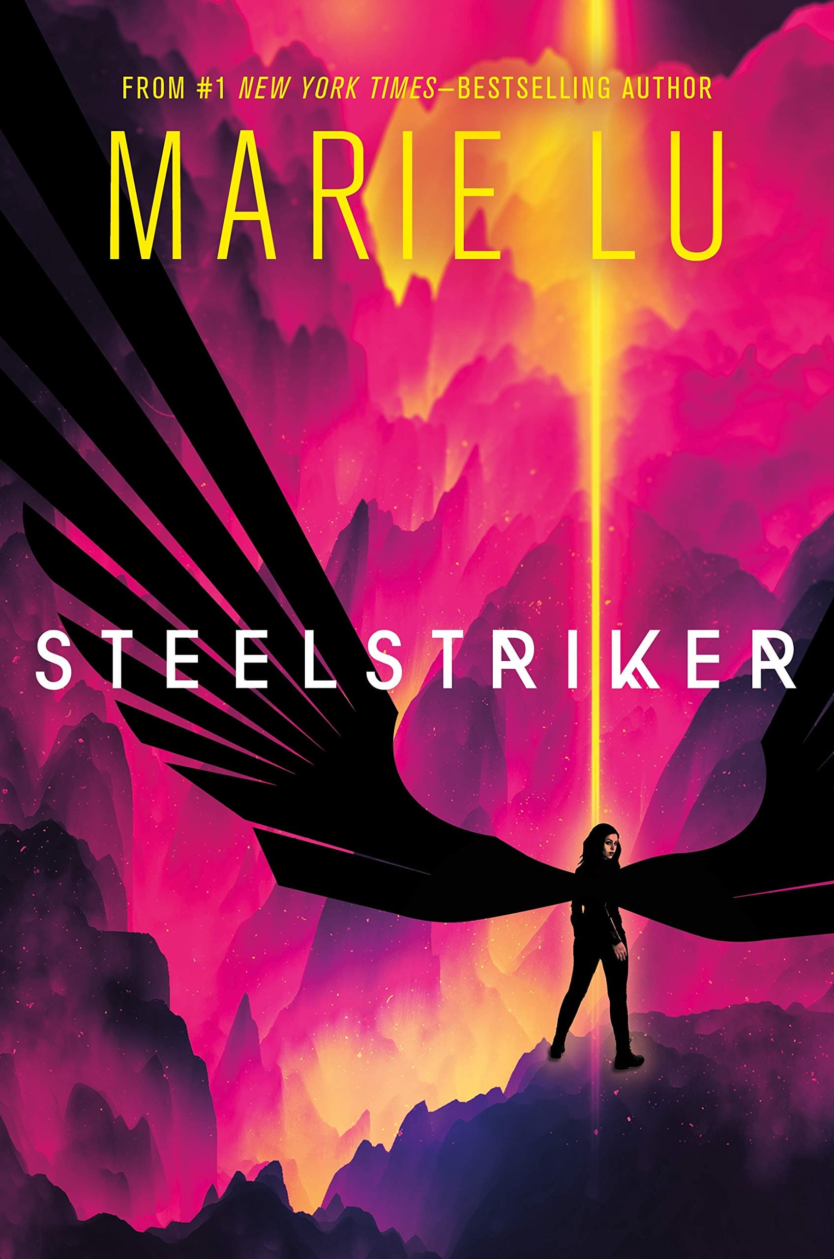 Steelstriker book cover