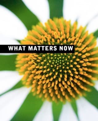 What Matters Now book cover