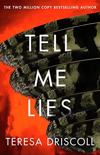 Tell Me Lies book cover