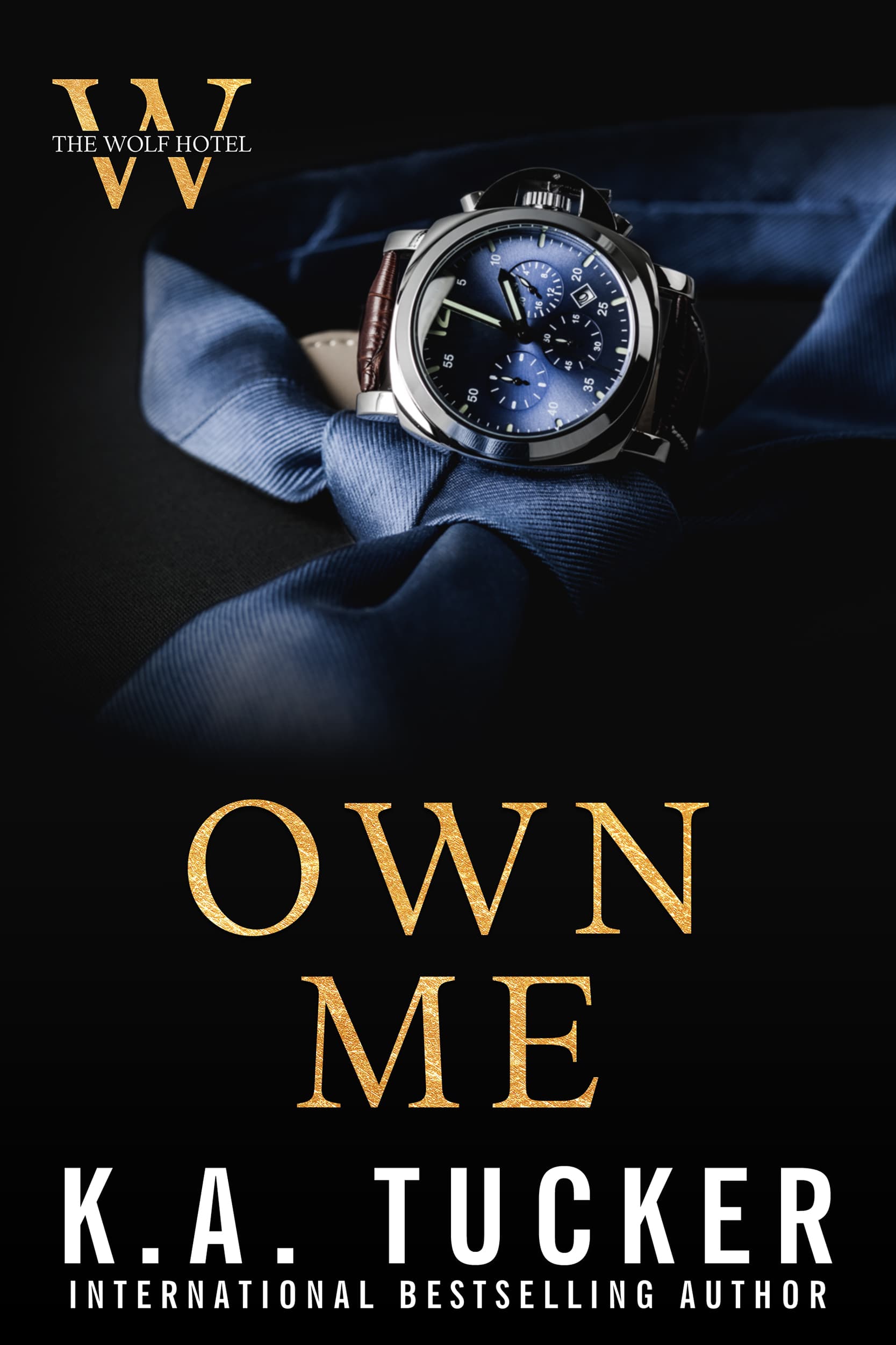 Own Me book cover