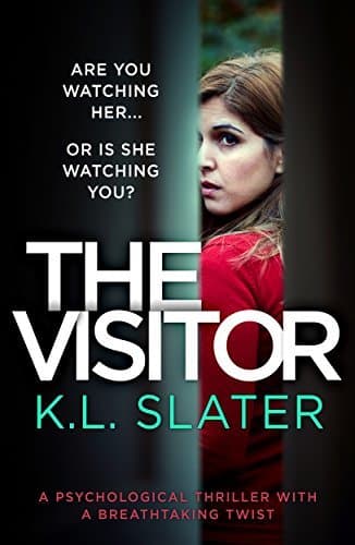 The Visitor book cover