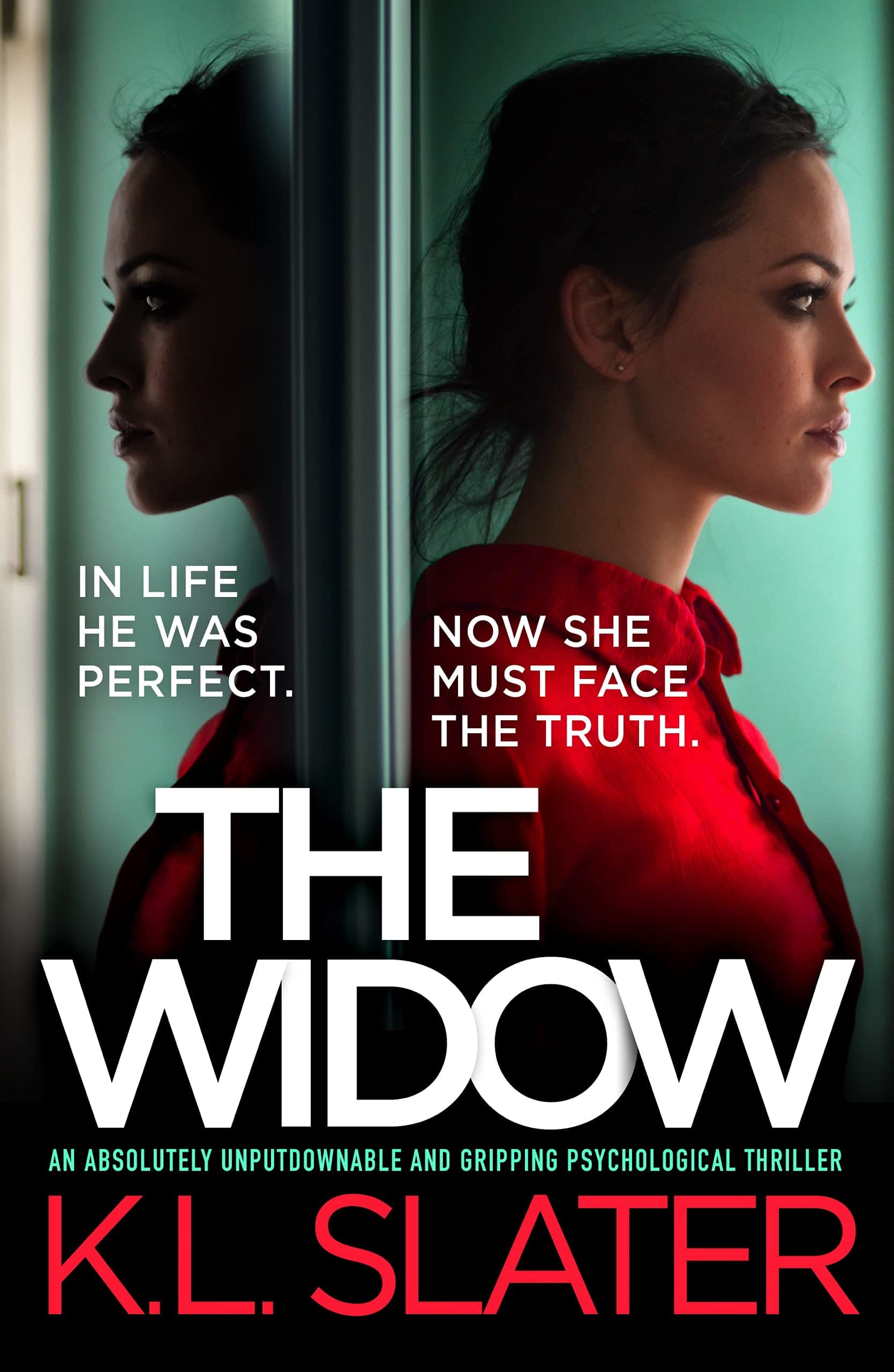 The Widow book cover