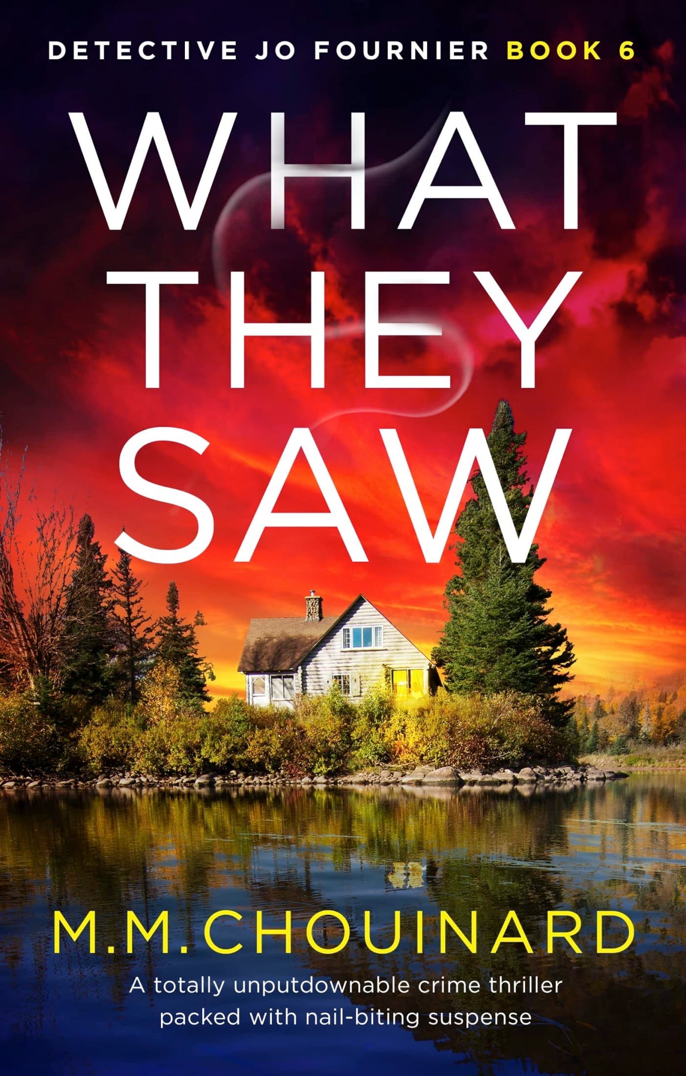 What They Saw book cover