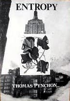 Entropy book cover