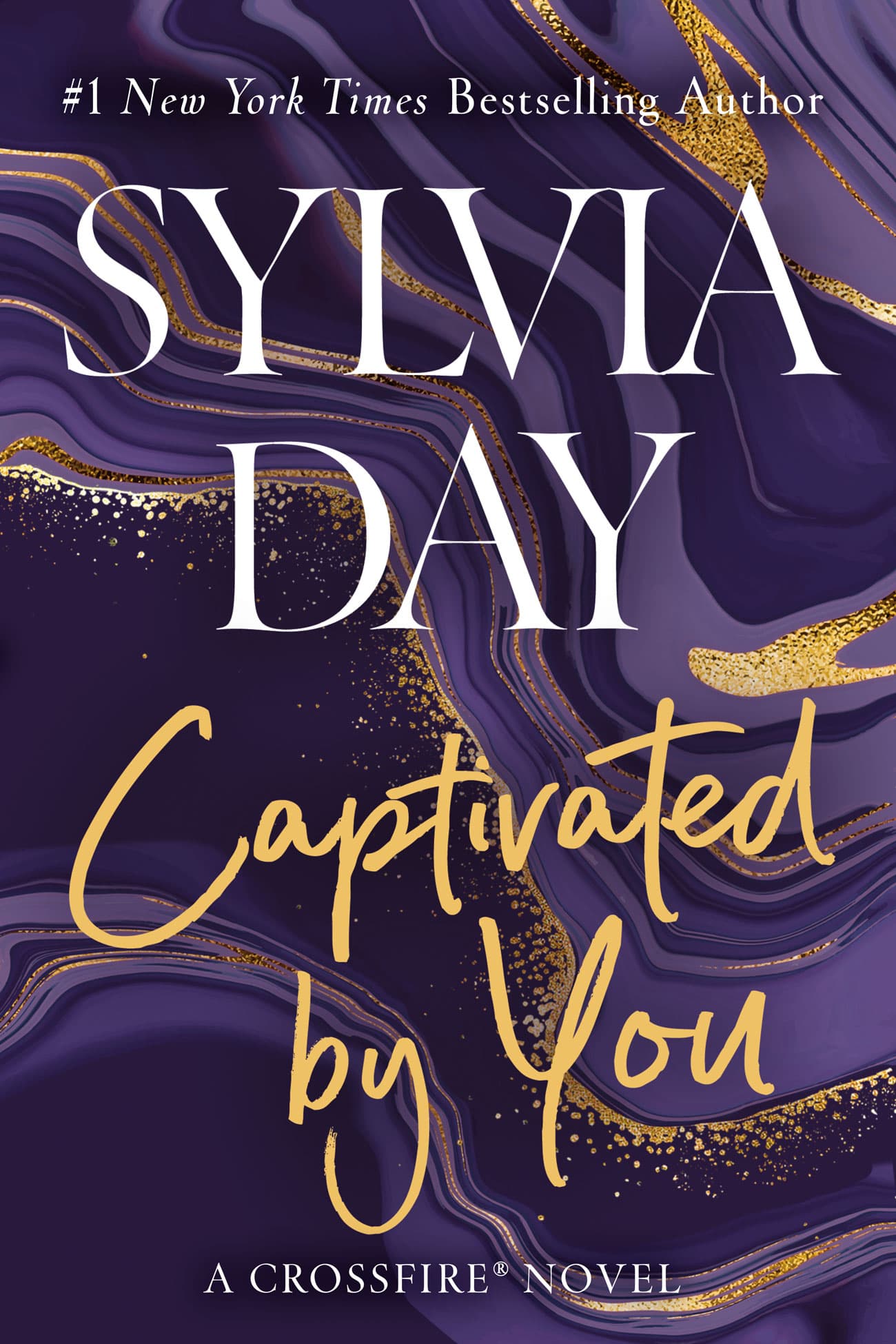 Captivated by You book cover