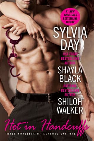 Hot in Handcuffs book cover