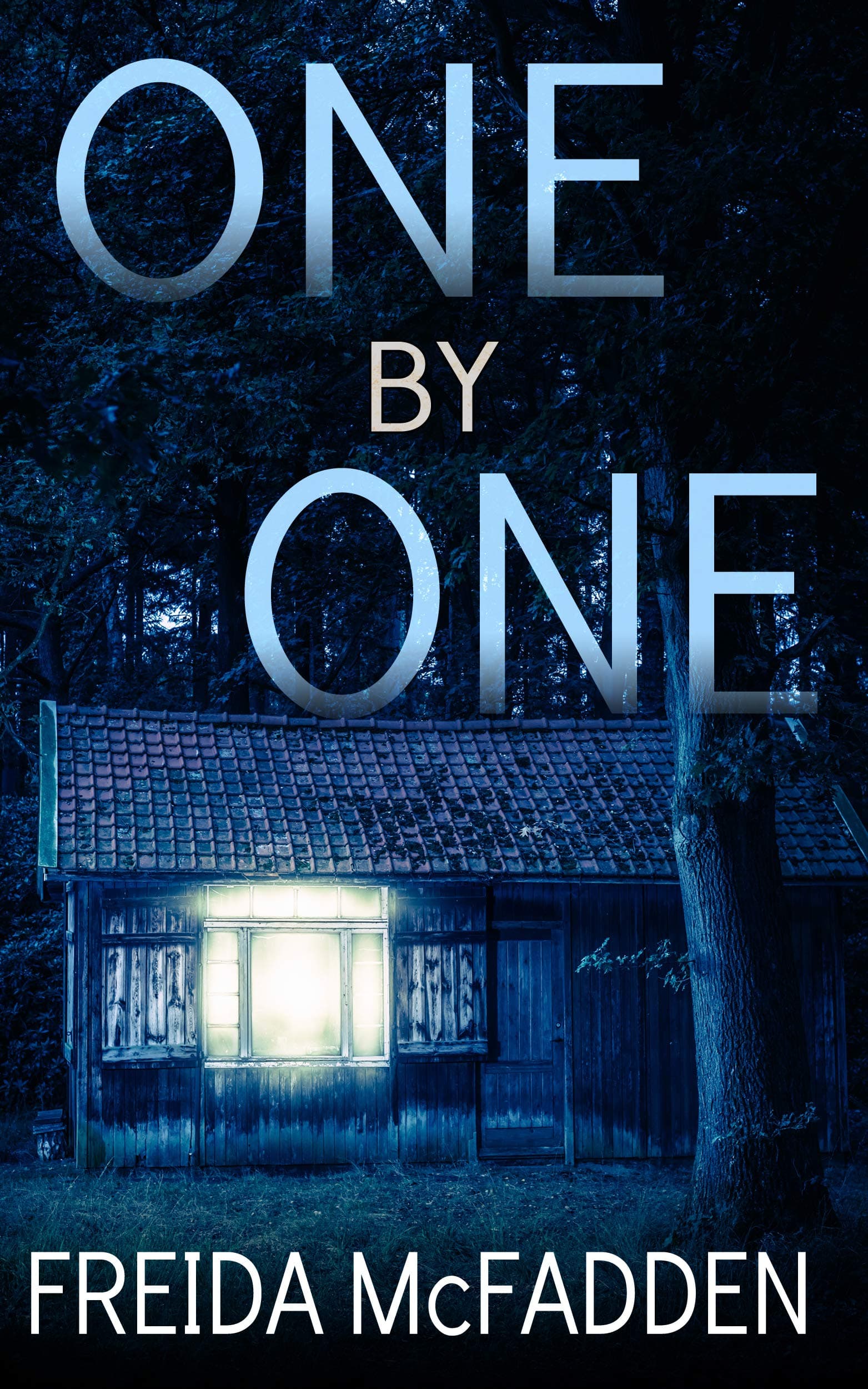 One by One book cover