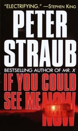 If You Could See Me Now book cover