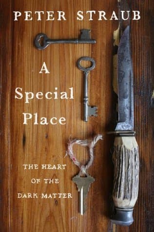 A Special Place: The Heart of a Dark Matter book cover