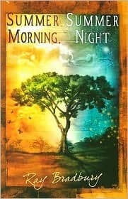 Summer Morning, Summer Night book cover