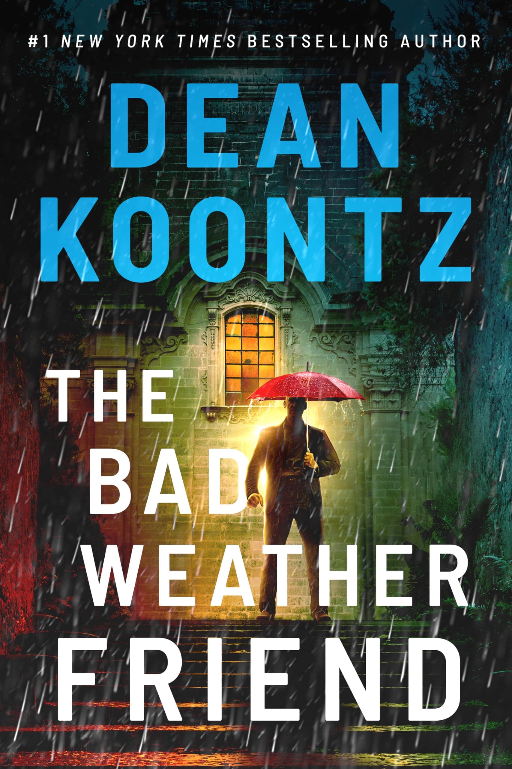 The Bad Weather Friend book cover