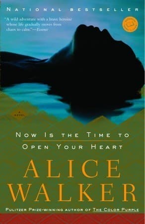 Now Is the Time to Open Your Heart book cover