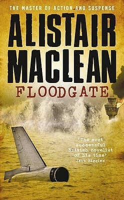 Floodgate book cover