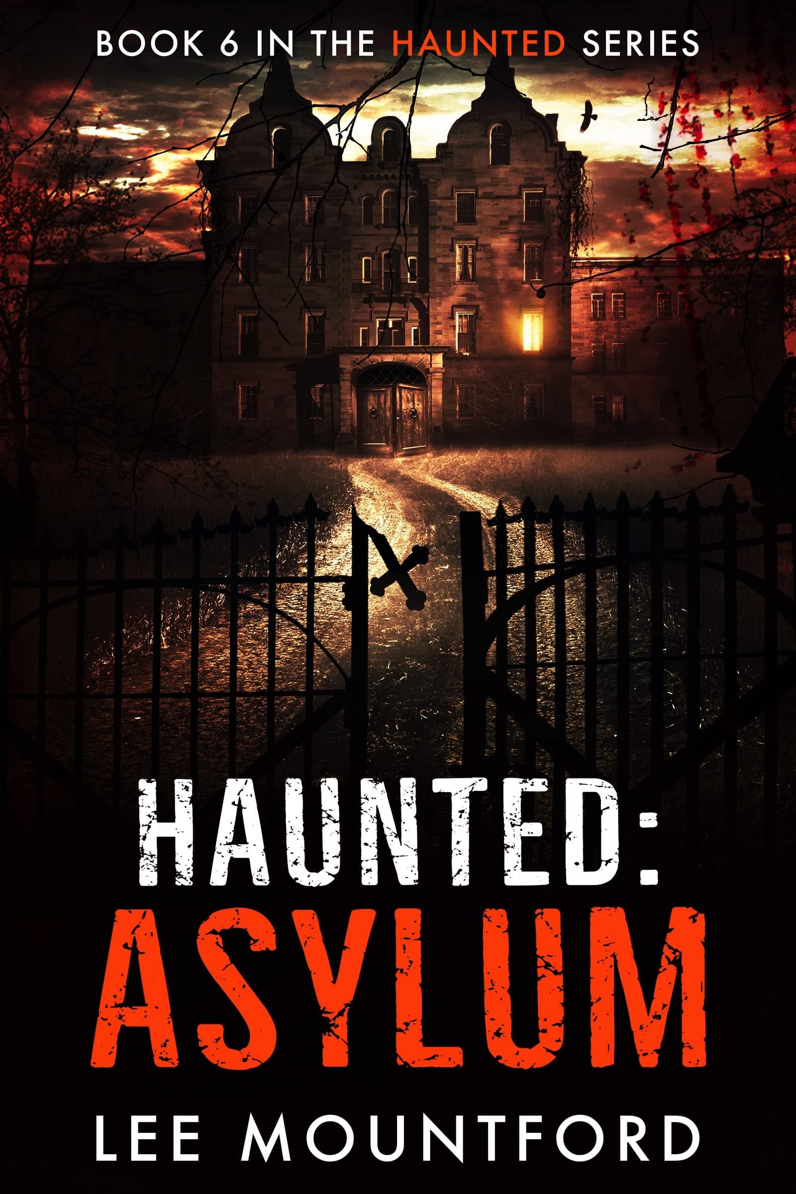 Asylum book cover